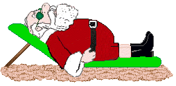 santa beach.gif (8357 bytes)